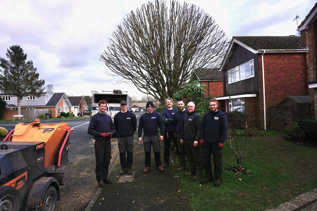 Crown Tree Reduction